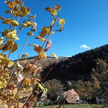 Les Locations De Stephanie ,gite Le Verger Apartamento Sondernach