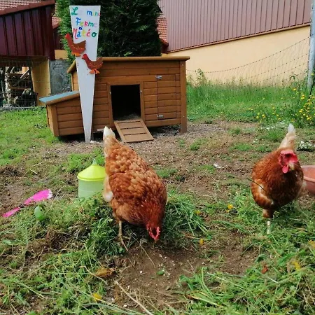 Les Locations De Stephanie ,gite Le Verger Sondernach