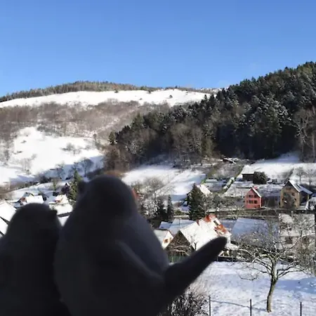 公寓 Les Locations De Stephanie ,gite Le Verger Sondernach