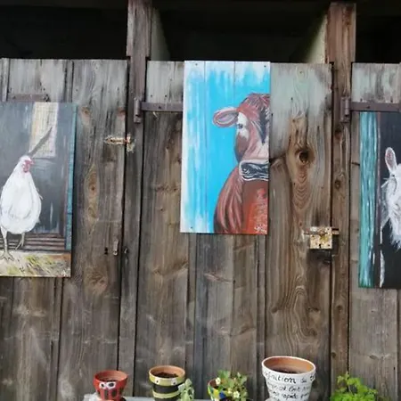 Les Locations De Stephanie ,gite Le Verger * Sondernach