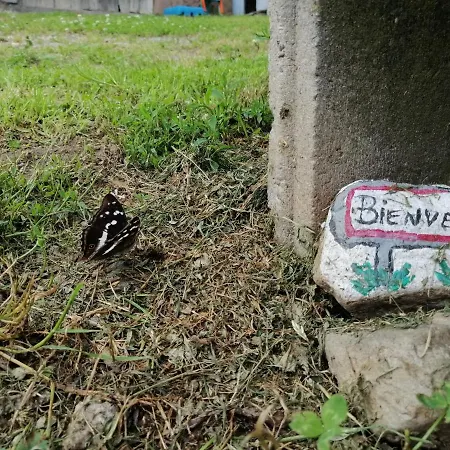 Apartamento Les Locations De Stephanie ,gite Le Verger Sondernach