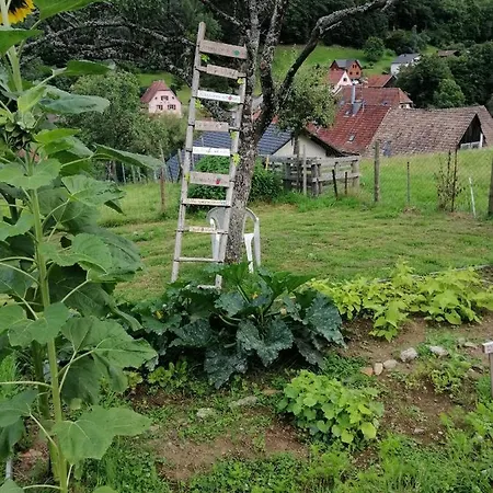 Les Locations De Stephanie ,gite Le Verger Apartamento *