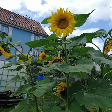 Les Locations De Stephanie ,gite Le Verger