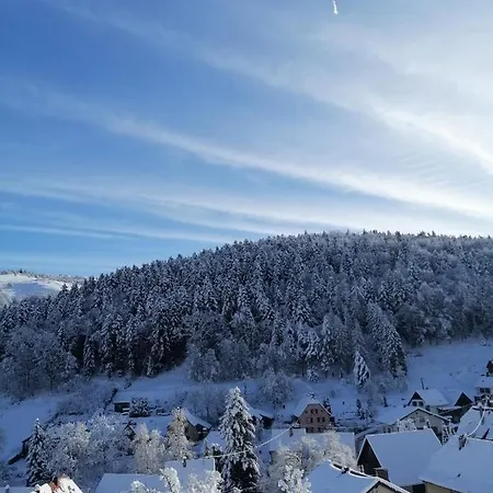 Les Locations De Stephanie ,gite Le Verger * Sondernach