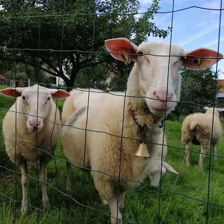 Apartamento Les Locations De Stephanie ,gite Le Verger