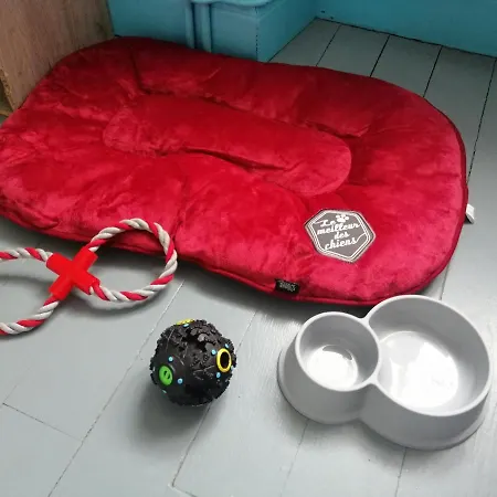 Les Locations De Stephanie ,gite Le Verger * Sondernach